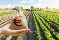 kurs euro