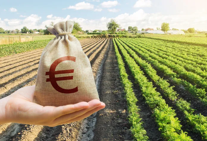 kurs euro